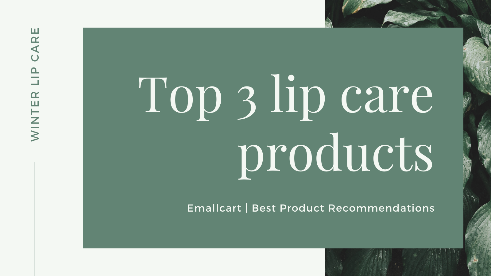 Top 3 lip care products for this winter
